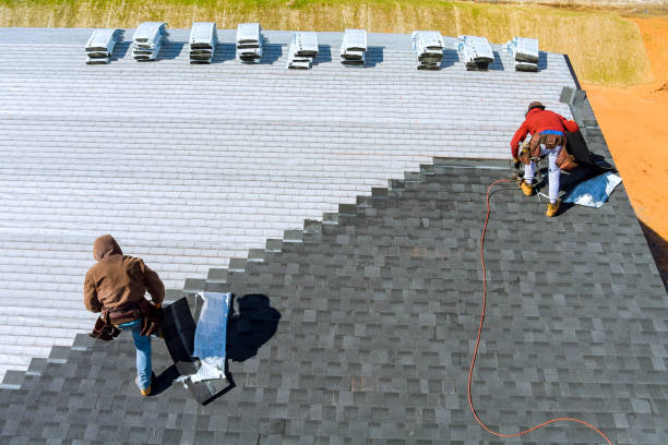 Professional Roofing Contractor in Black Diamond, FL