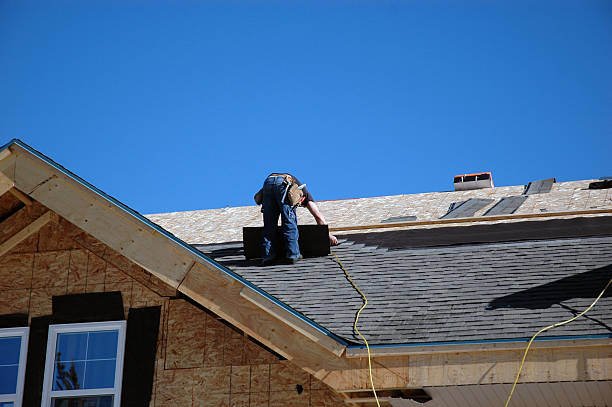 Best Roofing Contractor Near Me  in Black Diamond, FL