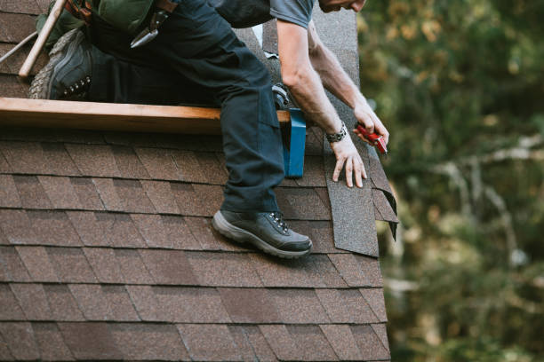 Best Gutter Installation and Roofing  in Black Diamond, FL